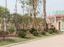 ����չʾͼƬ