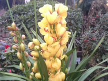 �ƽ�����