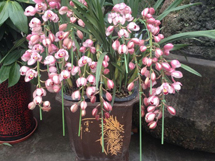 ޥ����Ц��