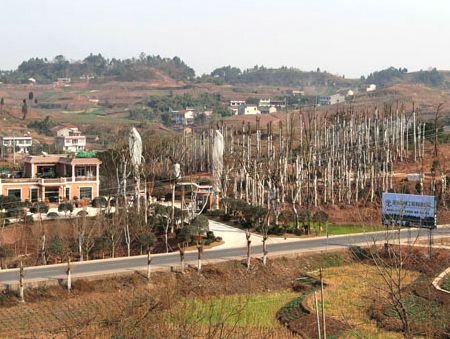 ��˾����