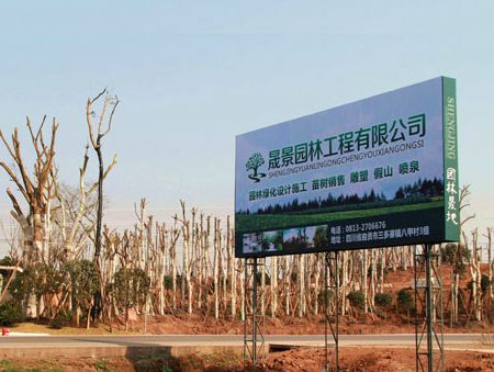 ��˾����