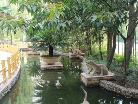 С������ͼƬ