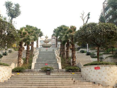 ����ɭ��סլС������