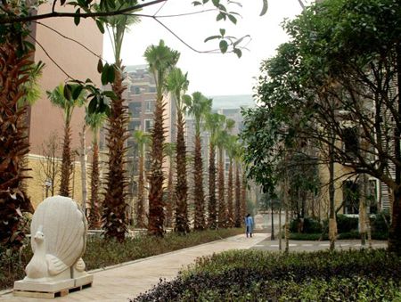 ������סլС������