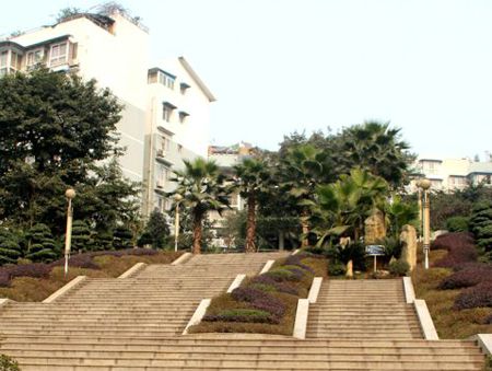 �ʺͰ뵺סլС��