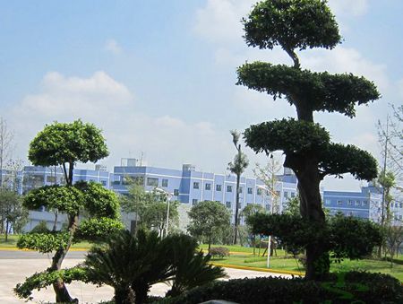 �Թ������̻�ʩ������