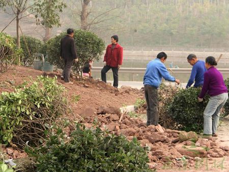 �ɾ�԰�ֹ�˾����կ��ش�����ũ�彨���̻����̿���