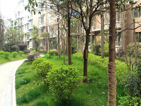 ��˳�����г�С�����ڹ���