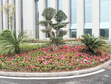 �Թ��м�����Ķ�