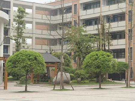 �Թ�����Сѧ��