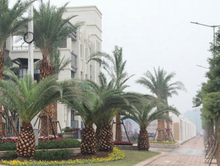 �Ϻ�����1