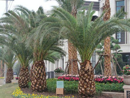 �Ϻ�����2