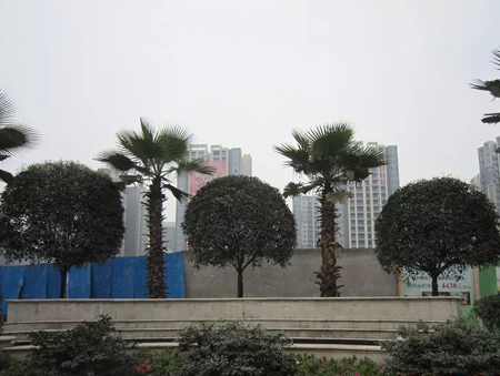 �˱�Զ��.������