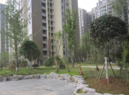 �˱���Զ�ﴺ����һ���̻�����