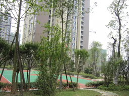 �˱���Զ�ﴺ����һ���̻�����