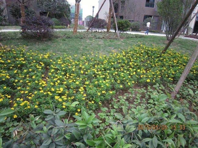 �˱���Զ�ﴺ����һ���̻�����