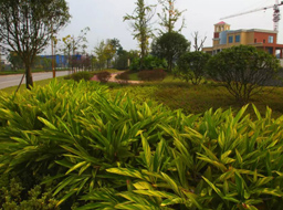 ����·����Ƥ������������.���ϼҾ߳Ƕ��̻�