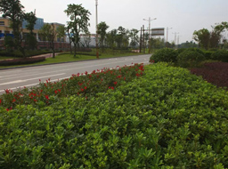 ����·����Ƥ������������.���ϼҾ߳Ƕ��̻�