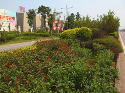 ����·����Ƥ������������.���ϼҾ߳Ƕ��̻�