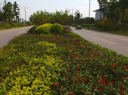 ����·����Ƥ������������.���ϼҾ߳Ƕ��̻�