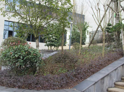 �Ǻӹ����̻�������