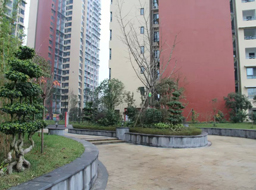 �Ǻӹ����̻�������