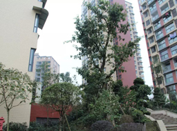 �Ǻӹ����̻�������