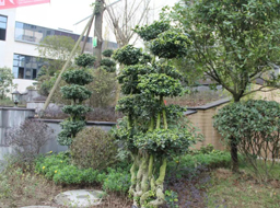 �Ǻӹ����̻�������