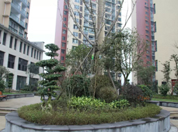 �Ǻӹ����̻�������