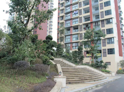 �Ǻӹ����̻�������