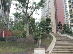 �Ǻӹ����̻�������