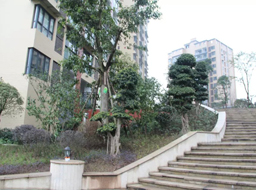 �Ǻӹ����̻�������