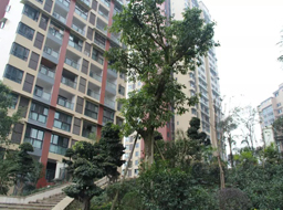 �Ǻӹ����̻�������