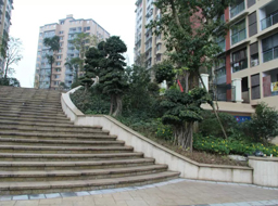 �Ǻӹ����̻�������