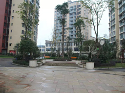 �Ǻӹ����̻�������