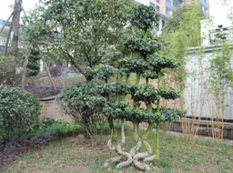 �Ǻӹ����̻�������