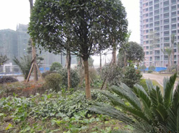 Զ��.����Ҽ���̻����ۼ����⹤��