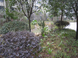 Զ��.����Ҽ���̻����ۼ����⹤��