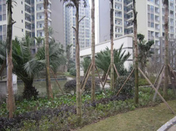 Զ��.����Ҽ���̻����ۼ����⹤��