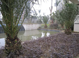 Զ��.����Ҽ���̻����ۼ����⹤��