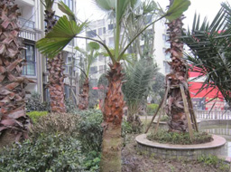 Զ��.����Ҽ���̻����ۼ����⹤��