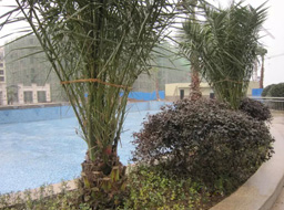 Զ��.����Ҽ���̻����ۼ����⹤��