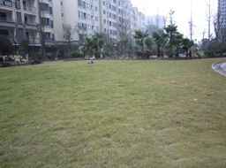 Զ��.����Ҽ���̻����ۼ����⹤��