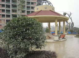 Զ��.����Ҽ���̻����ۼ����⹤��