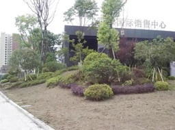 ��Ԫ�н������㽭����