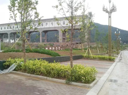 ��Ԫ�н������㽭����