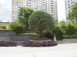 ��Ԫ�н������㽭����