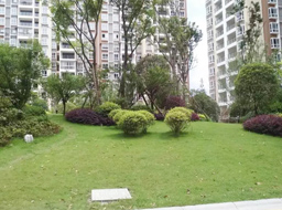 ��Ԫ�н������㽭����