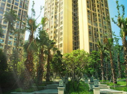 ��֦��Զ��۾���ͥ