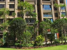 ��֦��Զ��۾���ͥ